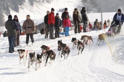 Lenk 2012 SM